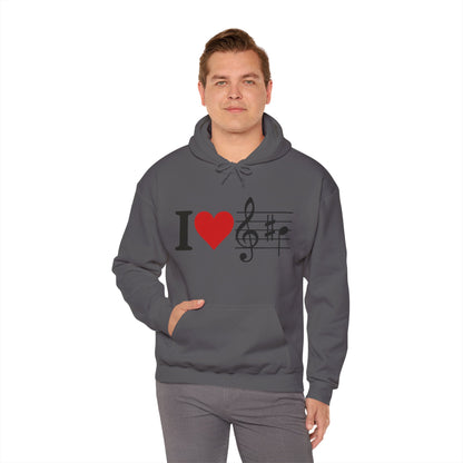 Music Hoodie for Men & Women - Concert Outfit - Unisex Sweatshirt Gift for Musicians & Music Lovers