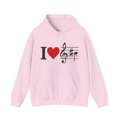 Music Hoodie for Men & Women - Concert Outfit - Unisex Sweatshirt Gift for Musicians & Music Lovers