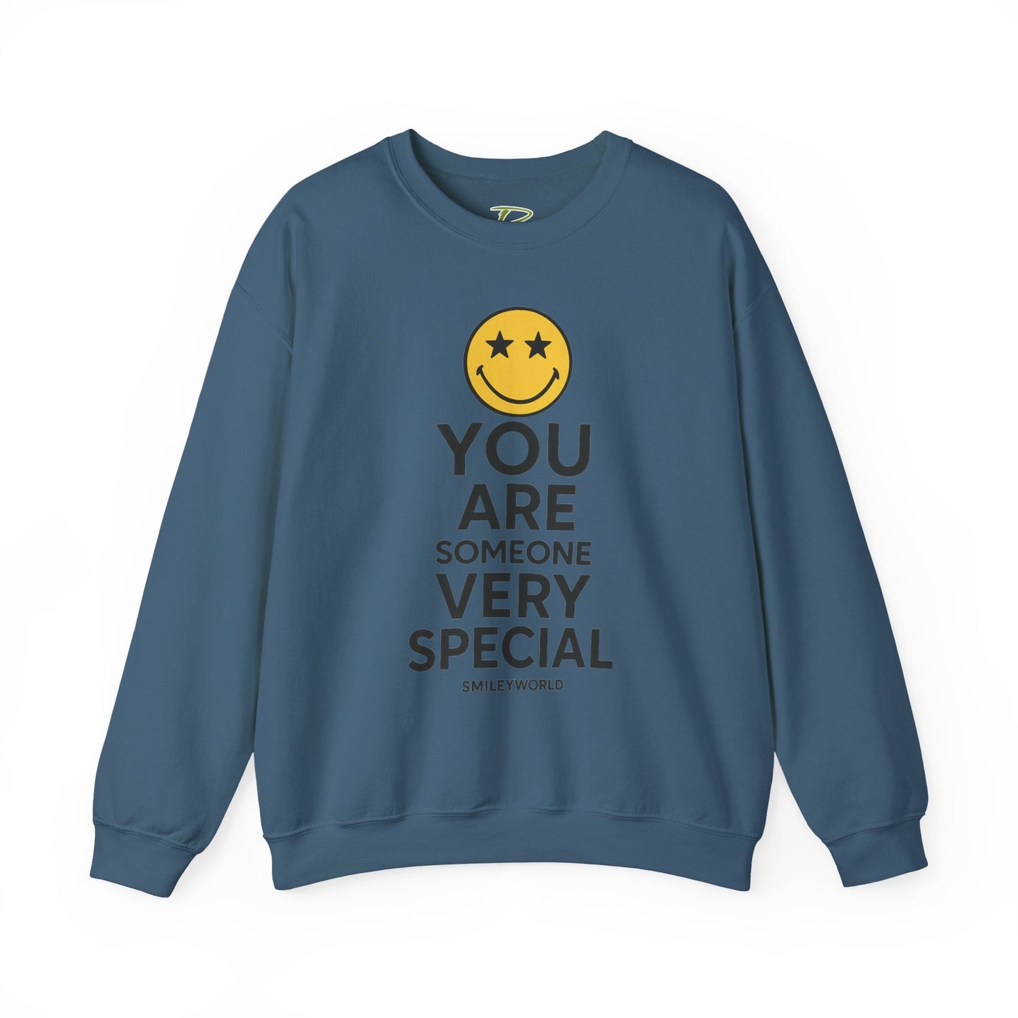 You Are Someone Special Sweatshirt | Unisex Crewneck | Motivational Gift