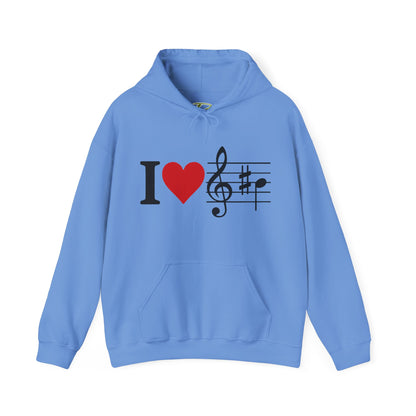 Music Hoodie for Men & Women - Concert Outfit - Unisex Sweatshirt Gift for Musicians & Music Lovers