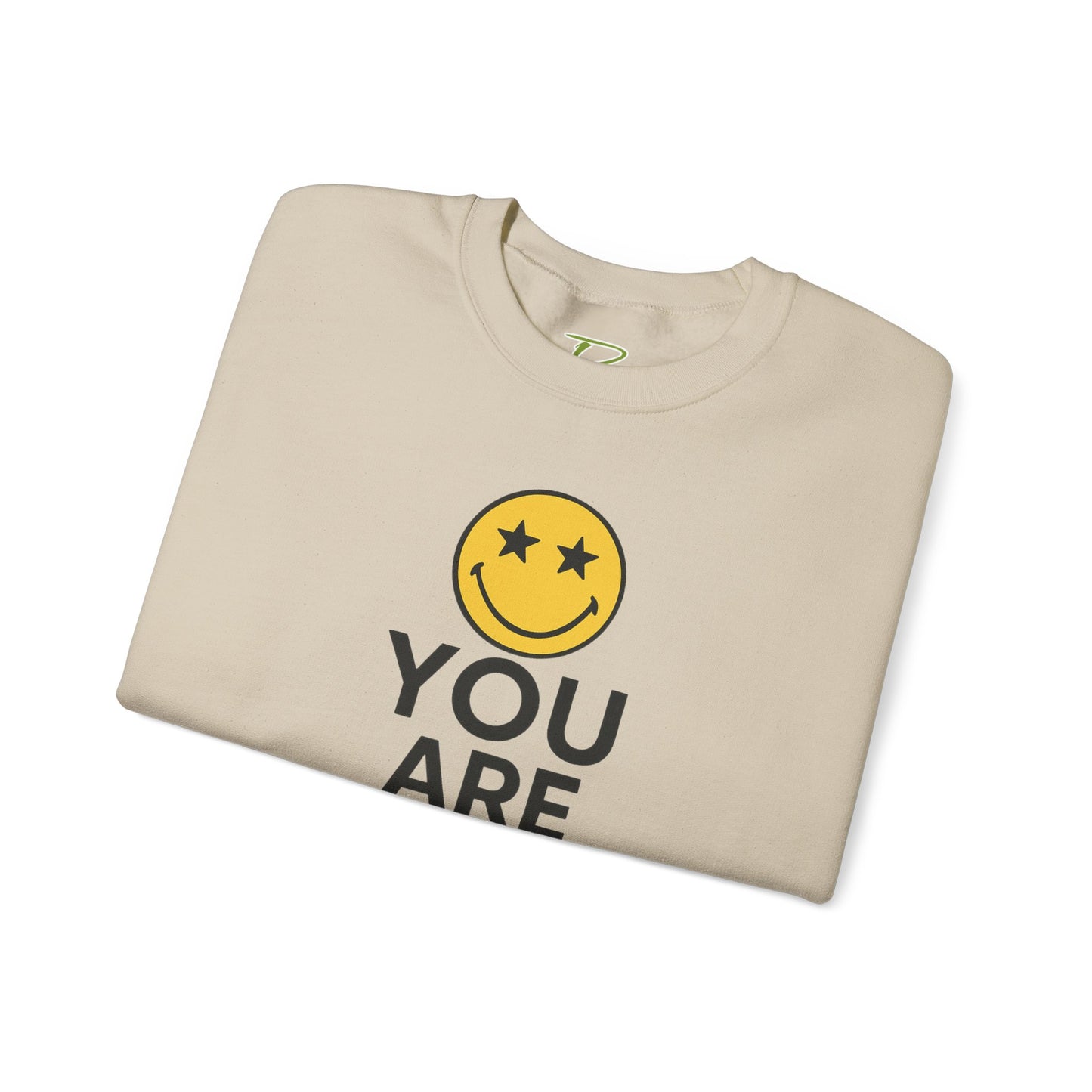 You Are Someone Special Sweatshirt | Unisex Crewneck | Motivational Gift